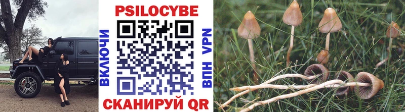 Галлюциногенные грибы Cubensis  Мезень 