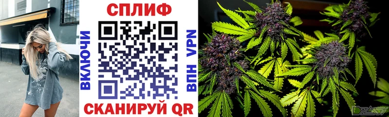 Конопля план Мезень